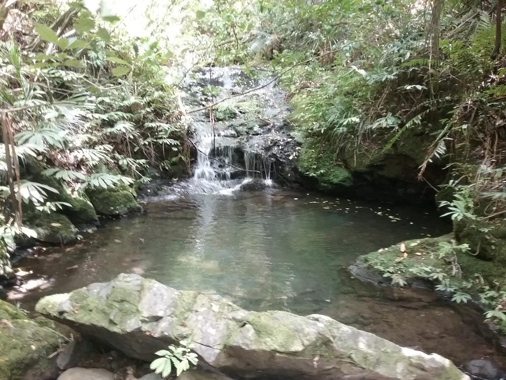 Fern Ridge Hideaway Villa Victoria Valley Esterno foto